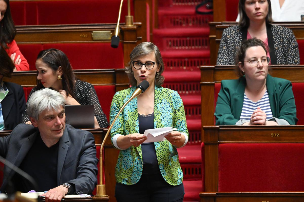 "La transición ecológica corre el riesgo de ser una de las víctimas"