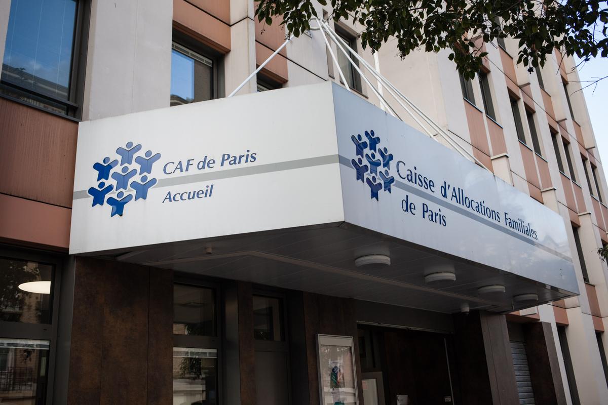 APL, RSA ... El Tribunal de Auditores tiene 6.300 millones de euros en errores en la rama familiar de la caja fuerte