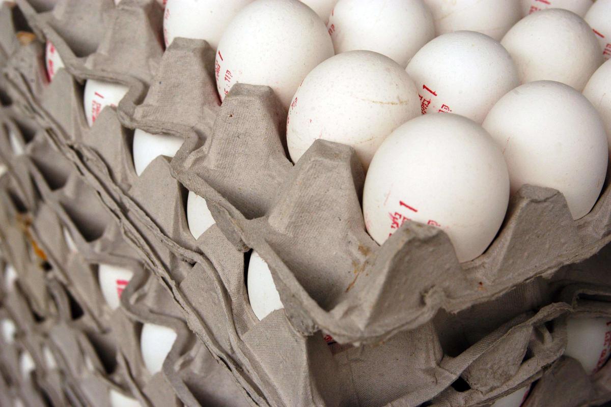 PFA que se encuentran en pescado, huevos, leche y carne