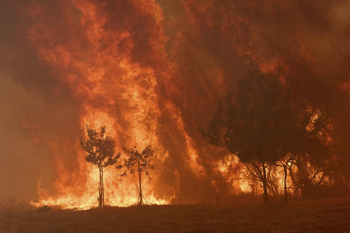 Más de un millón de hectáreas han quemado en la UE desde el comienzo del año debido a incendios, un récord