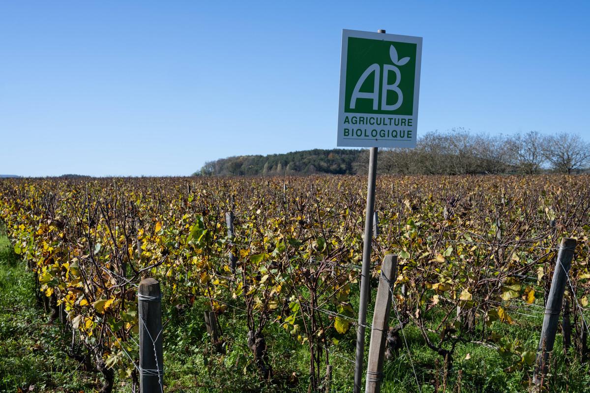 ¿Es posible la agricultura 100% orgánica en Francia?