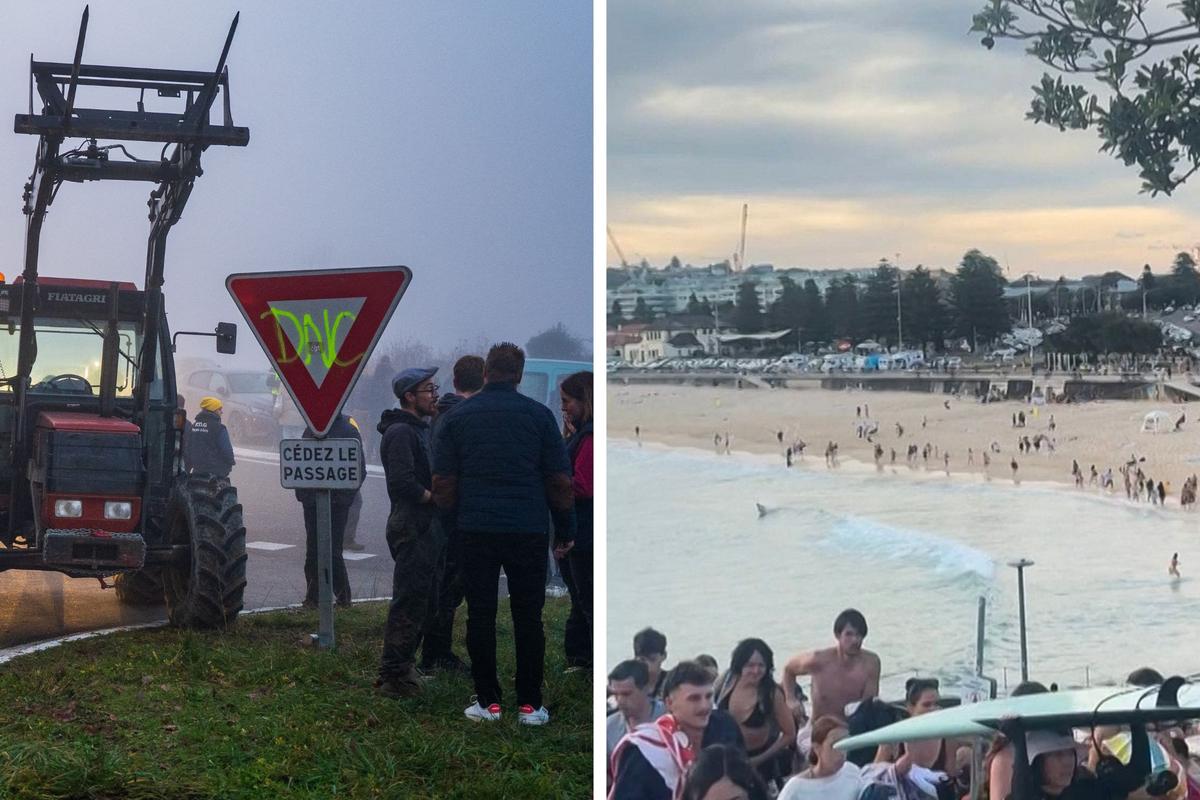 Ataque terrorista durante una fiesta judía en Sydney, ira de los ganaderos en el suroeste, elección presidencial en Chile... Las cinco cosas para recordar del fin de semana