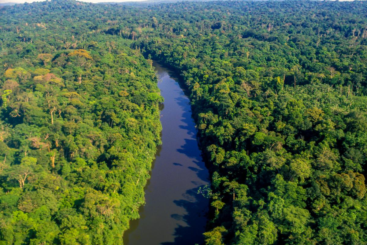 No al retorno del extractivismo, sí a la vanguardia ecológica