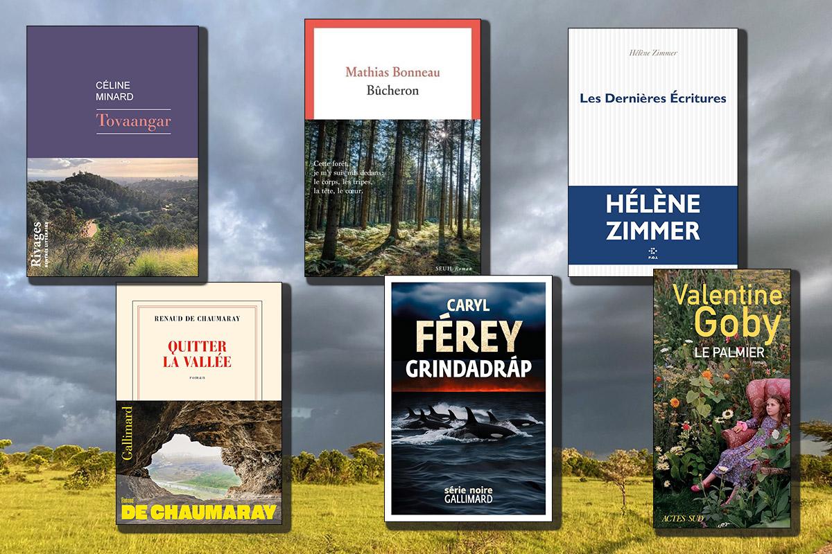 aquí están los 6 libros seleccionados