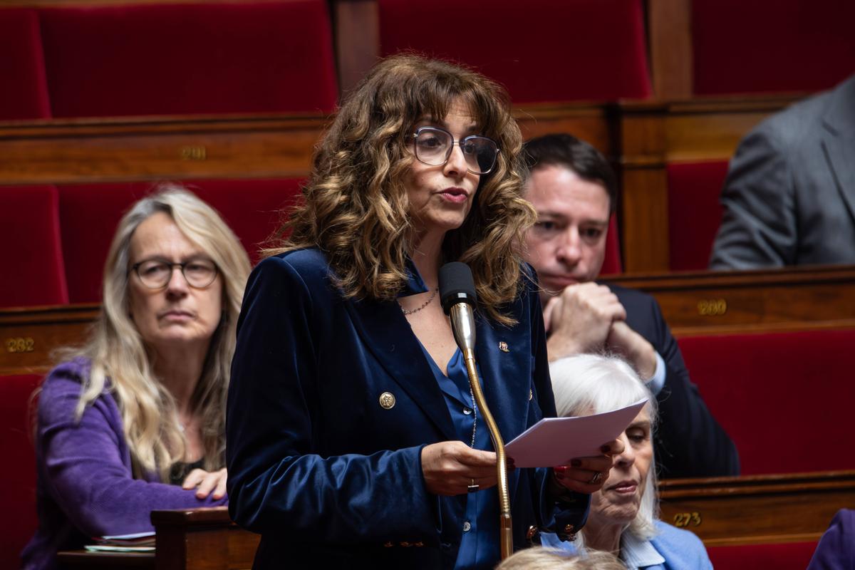 ¿Por qué es controvertida la ley propuesta para combatir las “formas renovadas” de antisemitismo?