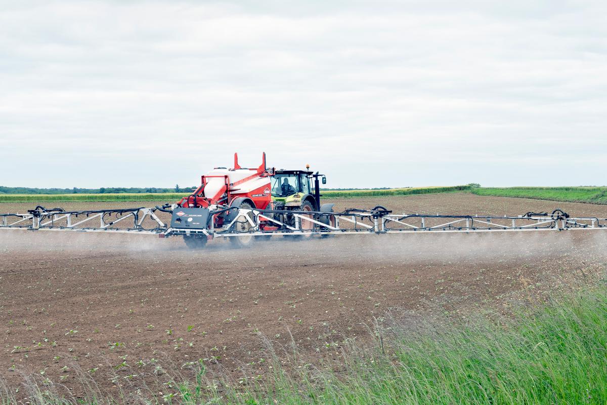 El senador LR quiere reintroducir varios pesticidas prohibidos, incluido el acetamiprid, un neonicotinoide.