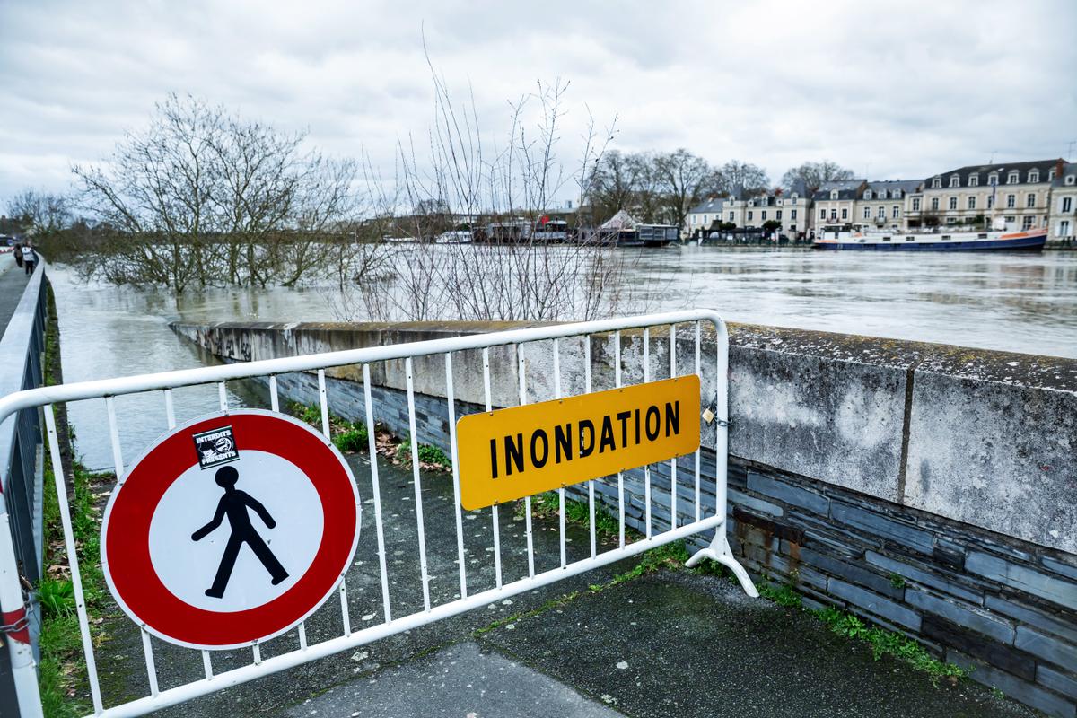 actualización sobre la situación