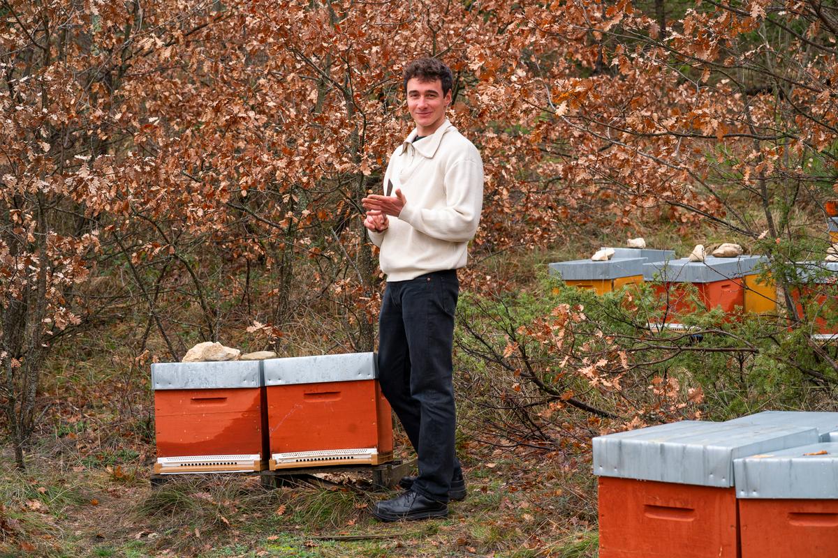 ¿Es la abeja una trabajadora agrícola como cualquier otra? Encuentro con un antropólogo-apicultor