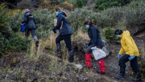 150 roedores capturados, un nuevo caso confirmado… Lo que sabemos