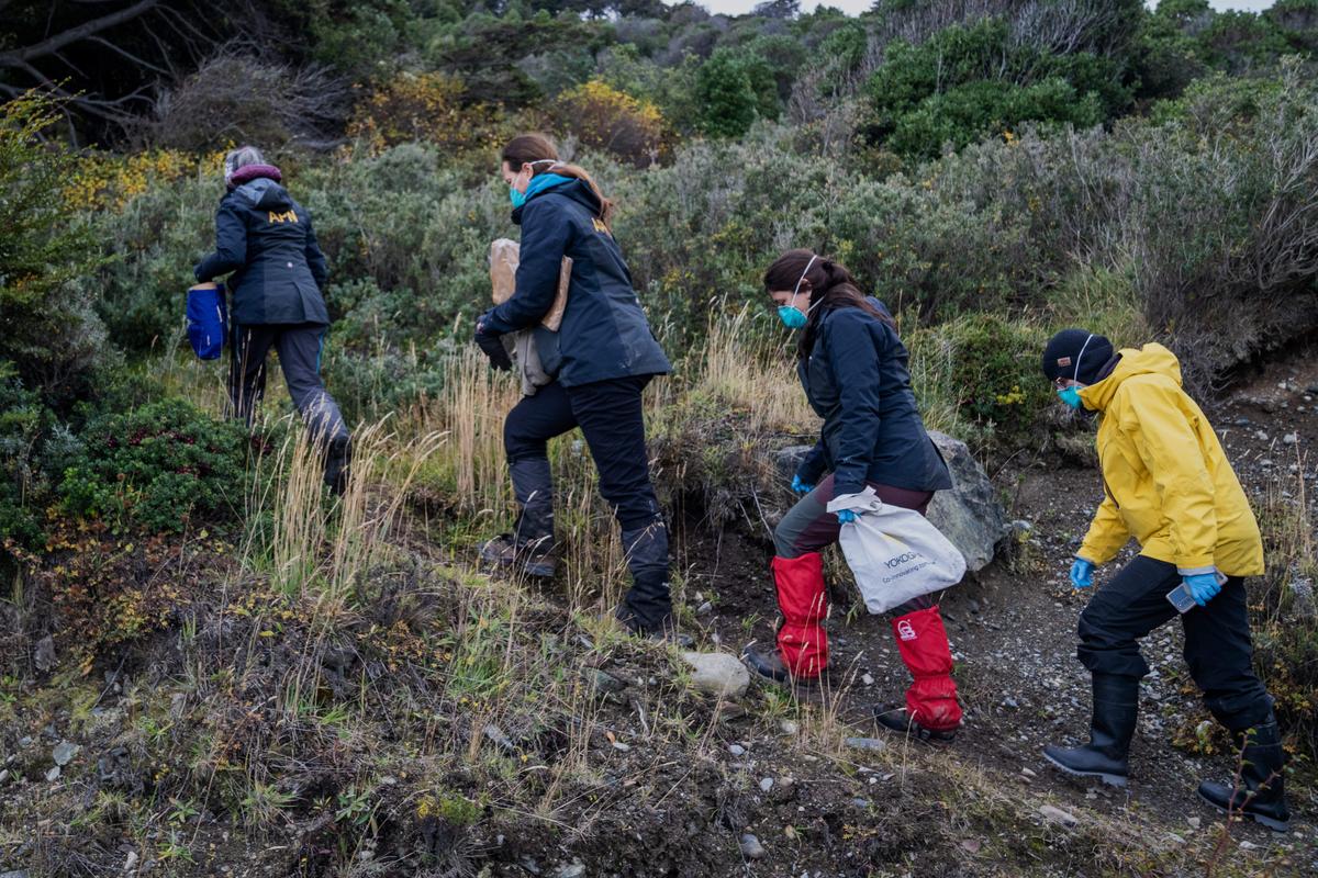 150 roedores capturados, un nuevo caso confirmado… Lo que sabemos