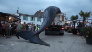Un “evento excepcional”: una ballena varada en una playa de la isla de Ré