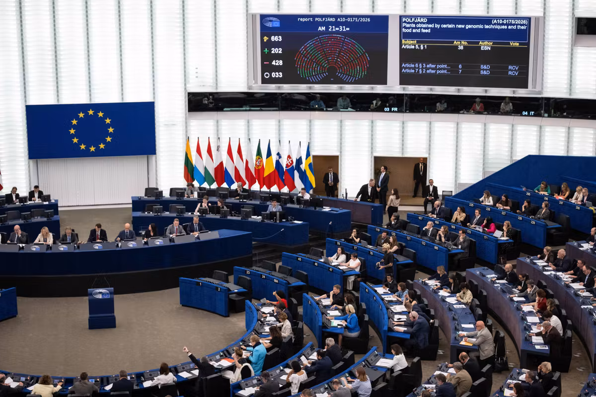 El Parlamento Europeo autoriza el retorno de migrantes a centros de detención fuera de la UE