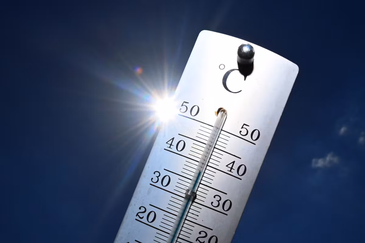 Quiz: 12 preguntas más o menos candentes sobre la ola de calor