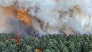 El bosque de Fontainebleau, afectado por un incendio de “escala excepcional”, dos Canadairs desplegados