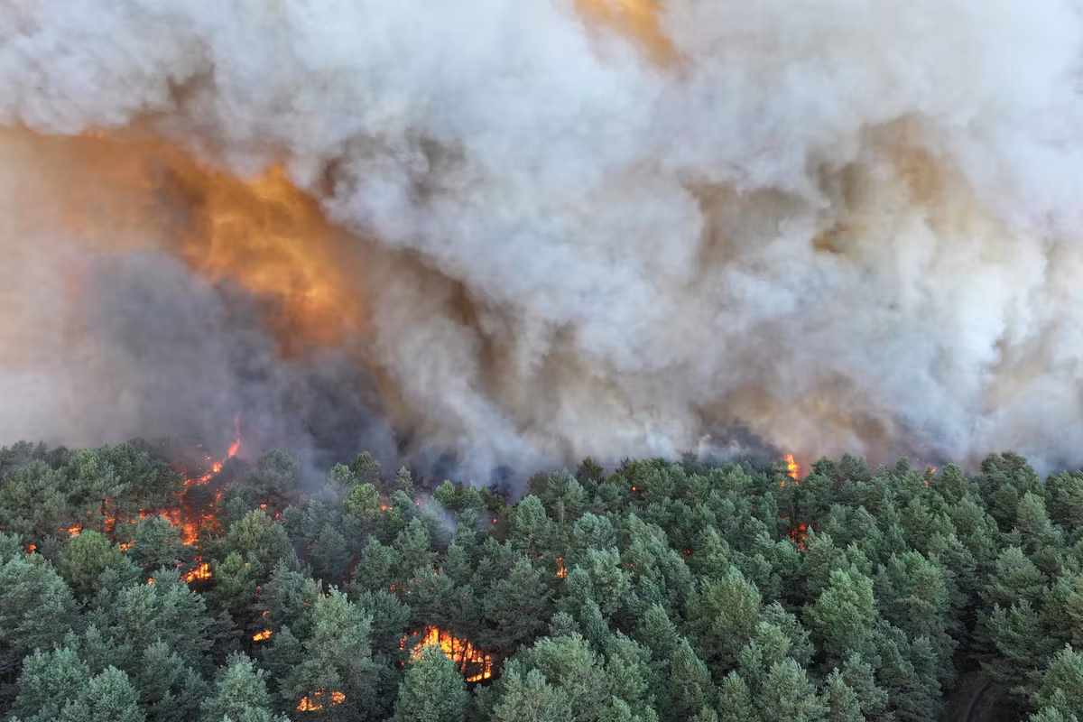 El bosque de Fontainebleau, afectado por un incendio de “escala excepcional”, dos Canadairs desplegados