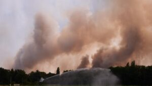 En el bosque de Fontainebleau, los incendios cubrieron más de 1.900 hectáreas