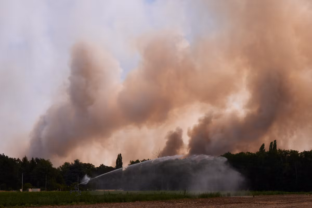 En el bosque de Fontainebleau, los incendios cubrieron más de 1.900 hectáreas