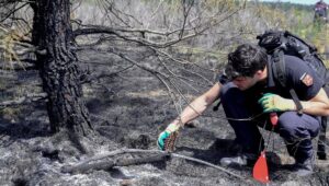 Incendio en Gironda: limpieza del lugar, acciones voluntarias… ¿Dónde están las investigaciones judiciales?