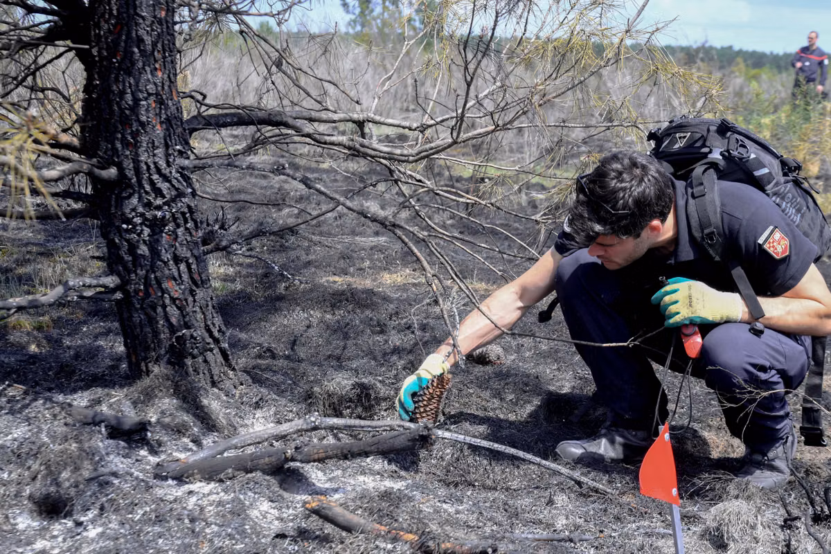 Incendio en Gironda: limpieza del lugar, acciones voluntarias… ¿Dónde están las investigaciones judiciales?