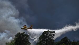Incendio en el bosque de Fontainebleau: “La mitad del pueblo fue evacuada”, testifica el alcalde de Vaudoué
