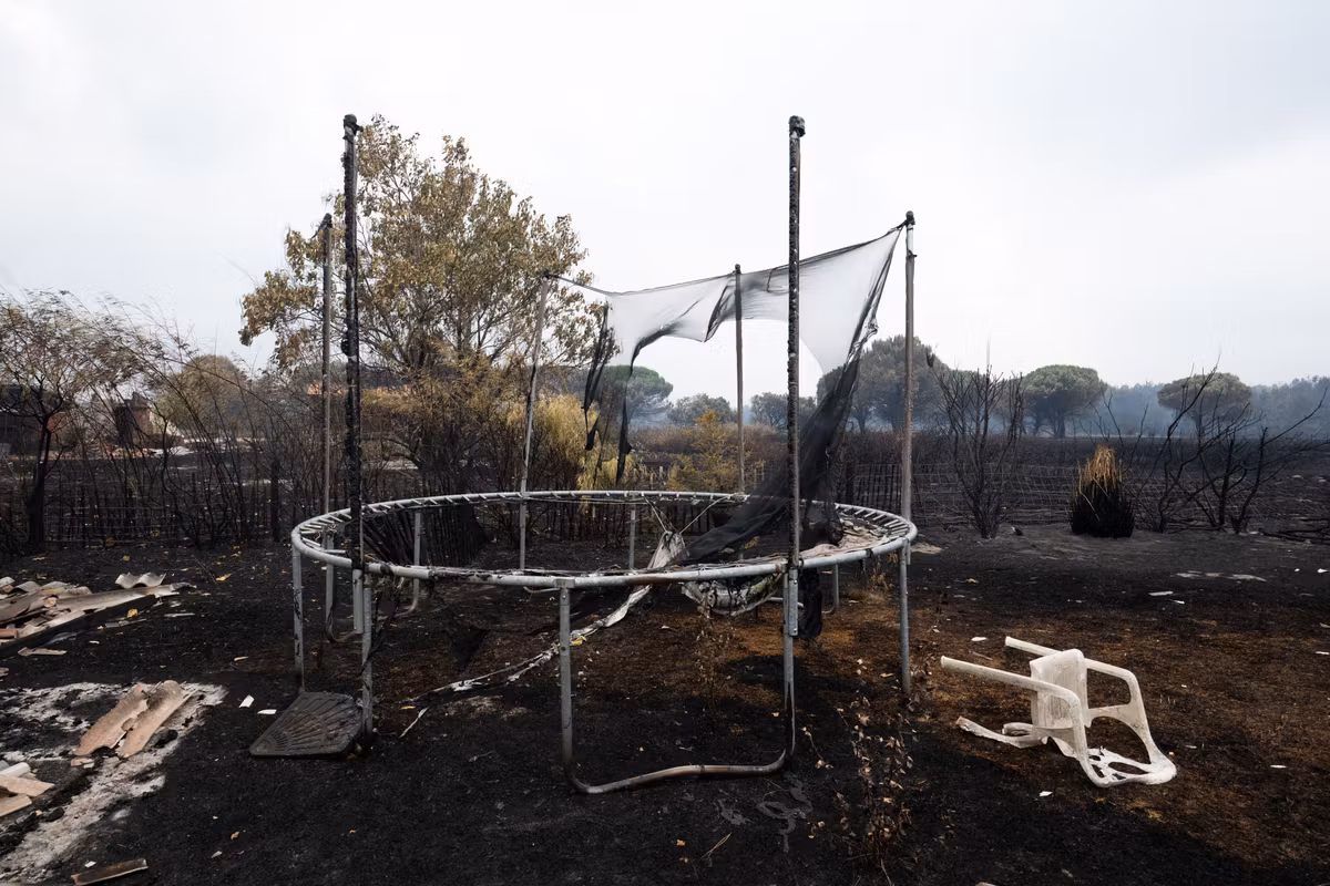 Incendios en Gironda: en Porge, imágenes de la desolación de una ciudad arrasada por las llamas