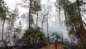 Incendios en Gironda: tras una noche tranquila, la amenaza de una ola de calor vuelve a acechar sobre el megaincendio