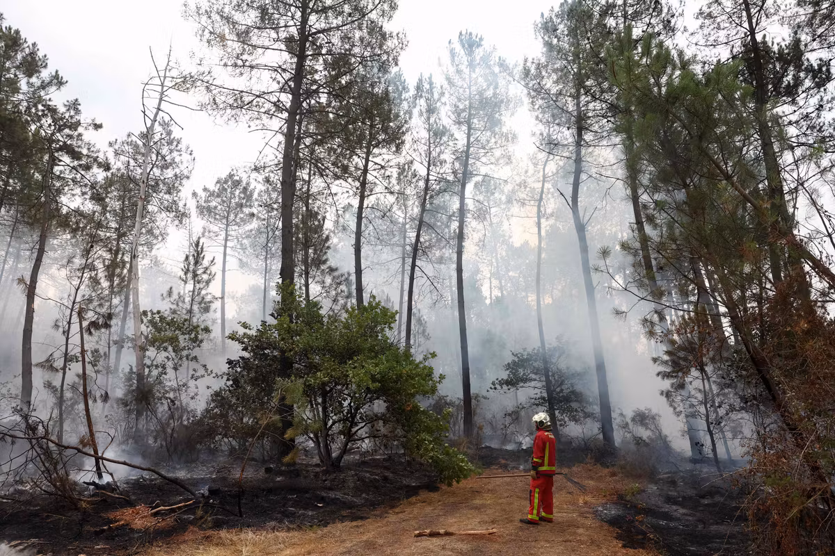 Incendios en Gironda: tras una noche tranquila, la amenaza de una ola de calor vuelve a acechar sobre el megaincendio