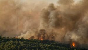 Incendios en el sur de Francia: gran foco entre Aude y Hérault, llamas al norte de Marsella