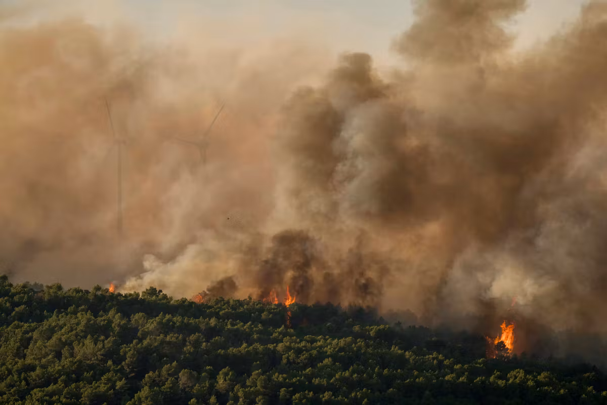 Incendios en el sur de Francia: gran foco entre Aude y Hérault, llamas al norte de Marsella