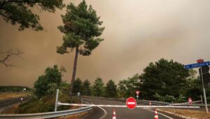 Incendios en el suroeste, atentado mortal en el orgullo gay de Berlín, Barbara Butch en el escenario… Cinco cosas para recordar del fin de semana