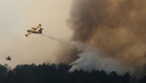 Incendios, olas de calor, sequías… “No hay economía en un planeta inhabitable”