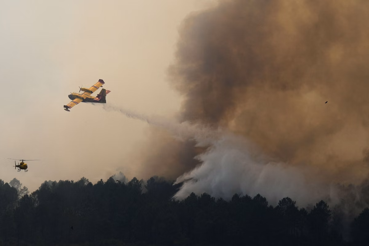 Incendios, olas de calor, sequías… “No hay economía en un planeta inhabitable”