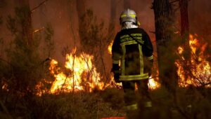 Incendios: tras una noche estable en Gironda, el inicio de “una carrera contra el tiempo” antes de la ola de calor
