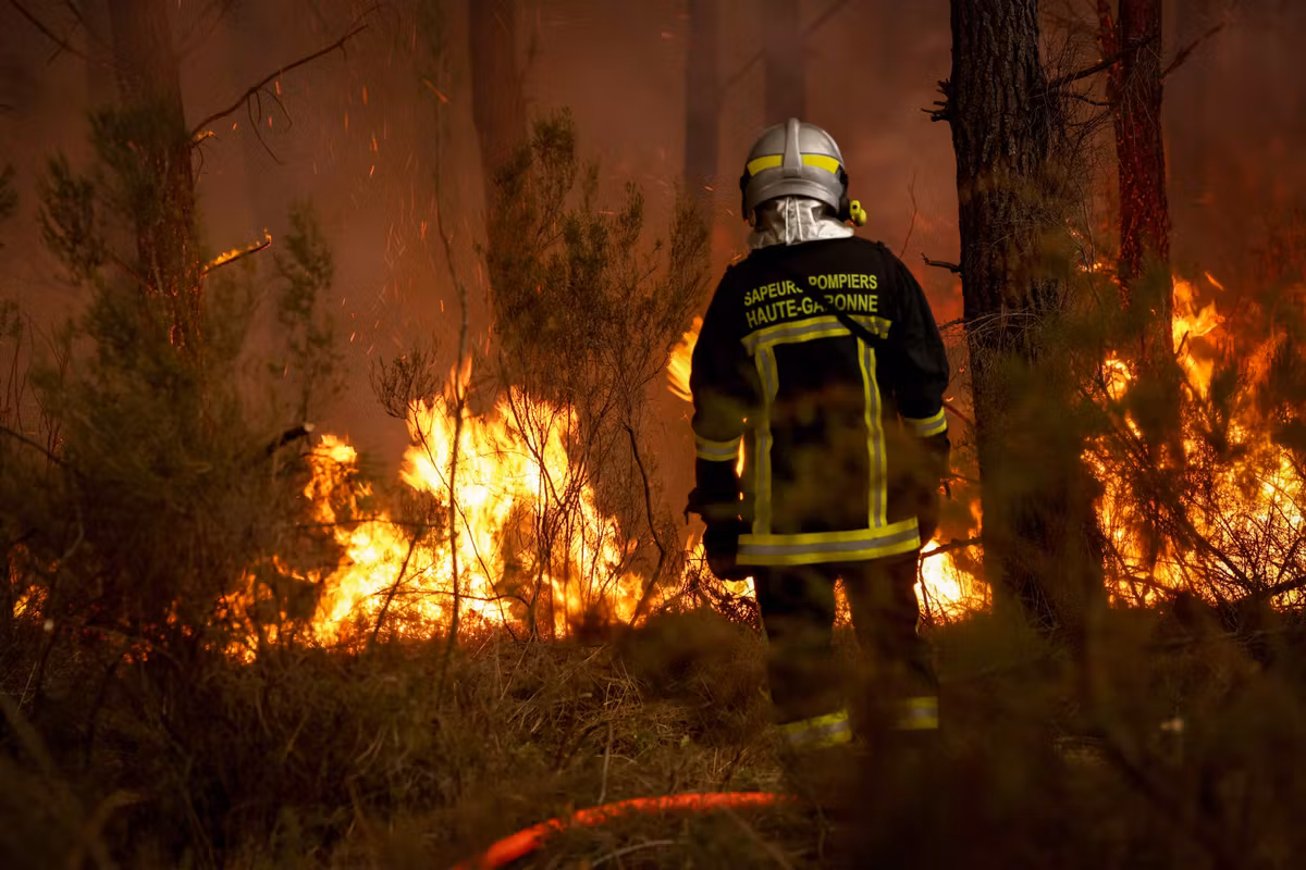 Incendios: tras una noche estable en Gironda, el inicio de “una carrera contra el tiempo” antes de la ola de calor