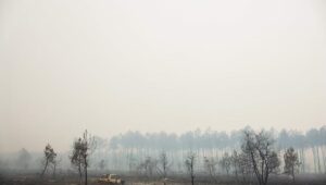“Las llanuras agrícolas arden ahora con la misma velocidad e intensidad que los bosques”: cómo los paisajes franceses favorecen los incendios XXL