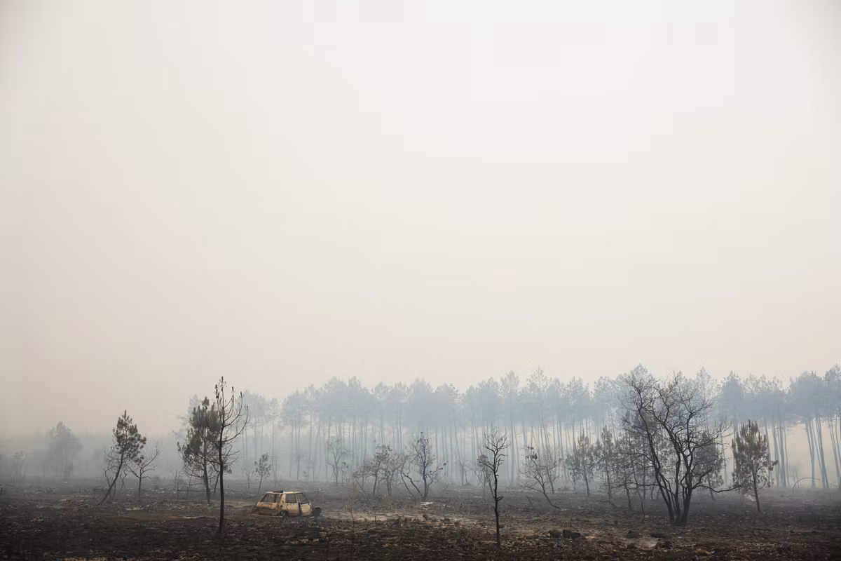 “Las llanuras agrícolas arden ahora con la misma velocidad e intensidad que los bosques”: cómo los paisajes franceses favorecen los incendios XXL