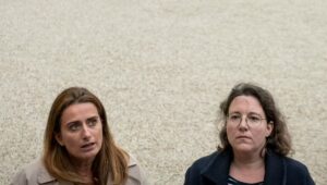 Moción de censura de los ecologistas: de fondo, un acercamiento con LFI