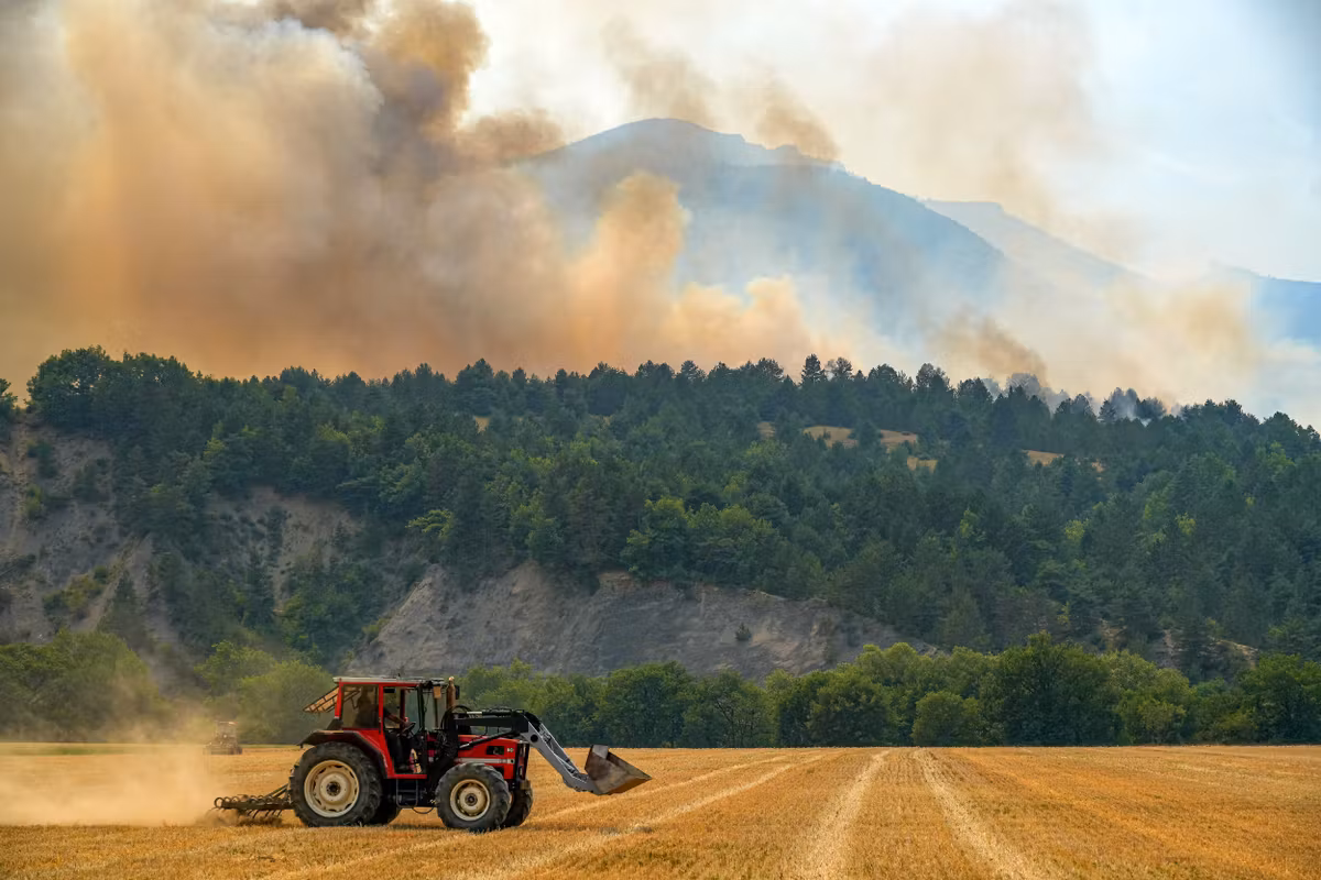 Ola de calor: vigilancia roja, plan de “calor extremo” de Orsec e incendios, ¿qué nos espera este fin de semana?