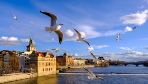 Praga, una historia de aguas… y de patrimonio
