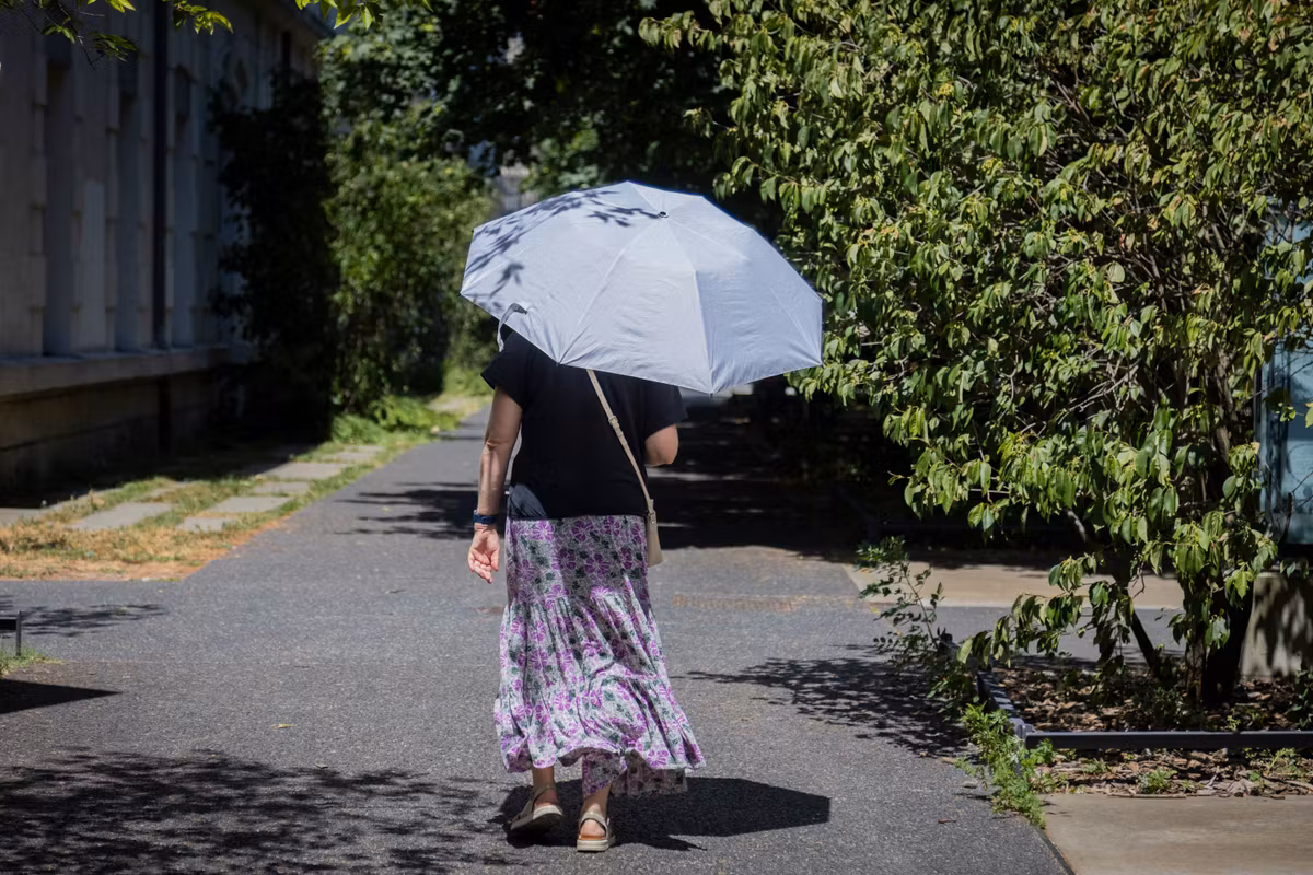 Tras el respiro, ¿dónde se instalará la nueva ola de calor este fin de semana en Francia?