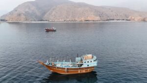 ¿Hacia el final del acuerdo de alto el fuego? Estadounidenses e iraníes reanudan las hostilidades tras el ataque a un barco en el Estrecho de Ormuz