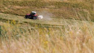 Agricultores que enfrentan una sequía histórica: “Es desgarrador ver marchitarse las cosechas”