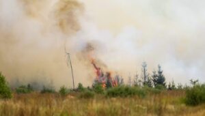 Bélgica se enfrenta a uno de los peores incendios de su historia, casi 3.000 hectáreas arrasadas