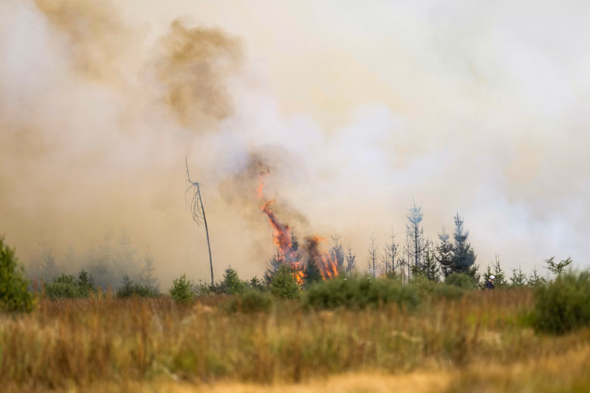 Bélgica se enfrenta a uno de los peores incendios de su historia, casi 3.000 hectáreas arrasadas