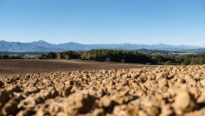 Contra la desertificación y la sequía, se abre este lunes en Mongolia una COP17 crucial