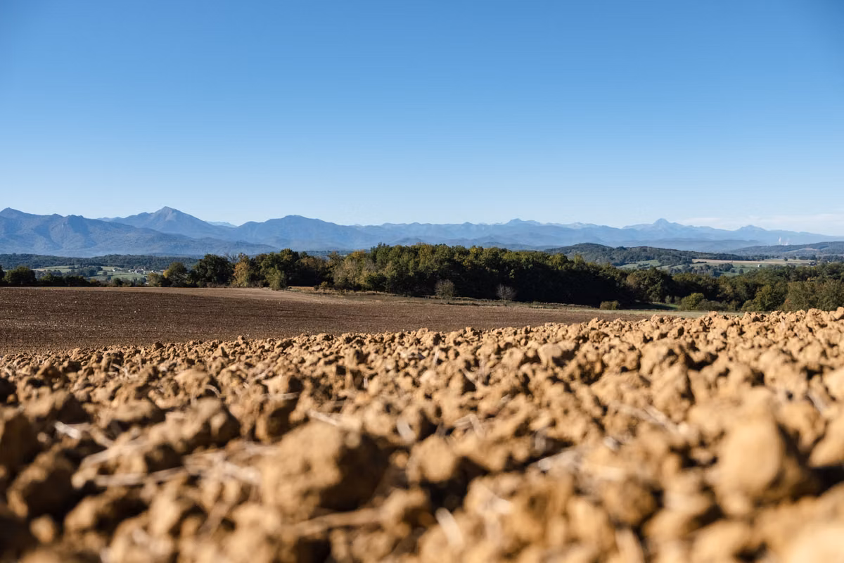 Contra la desertificación y la sequía, se abre este lunes en Mongolia una COP17 crucial