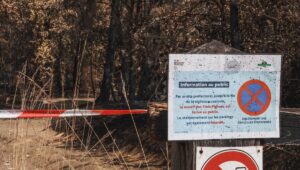 Deporte, naturaleza, libertad: lo que la escalada en Fontainebleau nos obliga a repensar después de los incendios