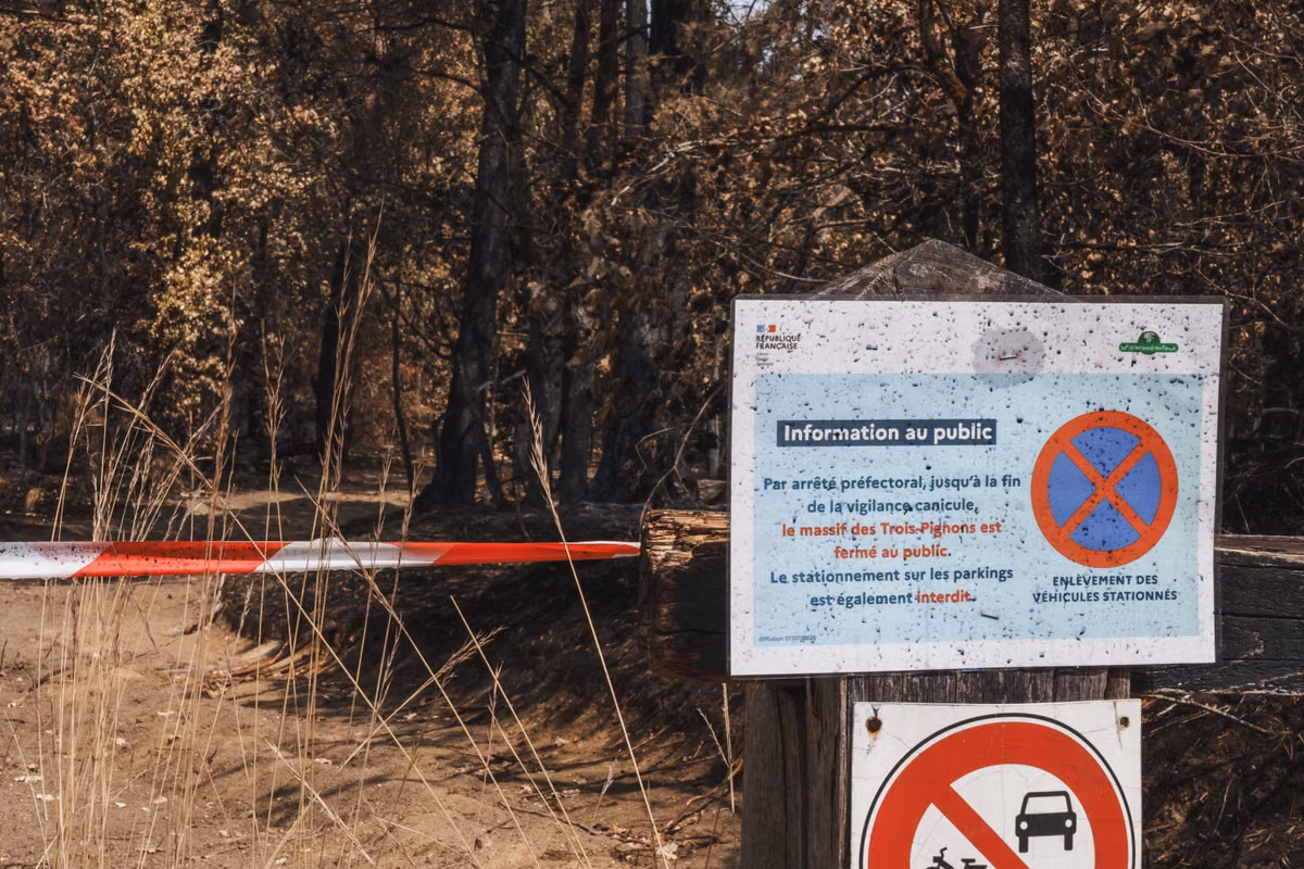 Deporte, naturaleza, libertad: lo que la escalada en Fontainebleau nos obliga a repensar después de los incendios