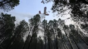 El incendio en las Landas quemó cerca de 1.600 hectáreas