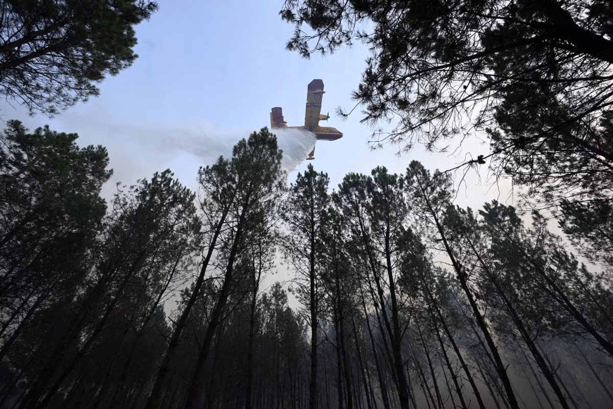 El incendio en las Landas quemó cerca de 1.600 hectáreas